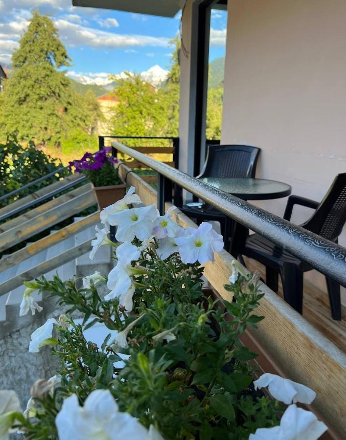 Monte Bianco Bed and Breakfast Μέστια Εξωτερικό φωτογραφία