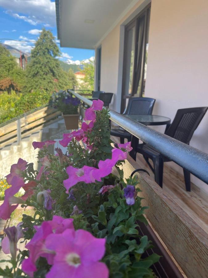Monte Bianco Bed and Breakfast Μέστια Εξωτερικό φωτογραφία
